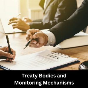 Treaty Bodies and Monitoring Mechanisms